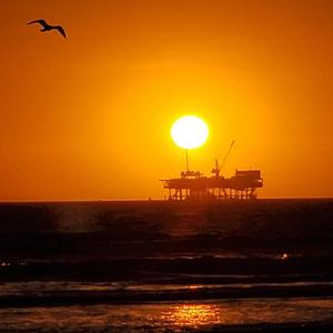 亚洲午夜成人片在线观看
